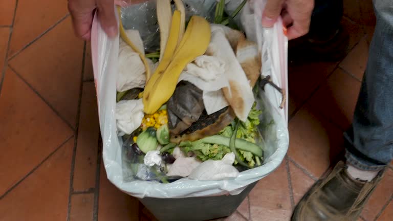 Same-Day Junk Removal Services in Lloyd Harbor, NY